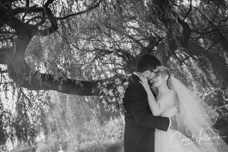 Willow Tree at Hawkstone Hall Wedding Photography